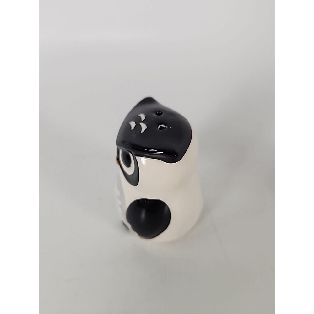 Owl Salt And Pepper Shakers Halloween Black & White Skeleton Vampire Table Decor - Picture 4 of 13